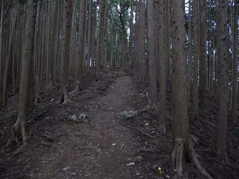 20150929hike (127)